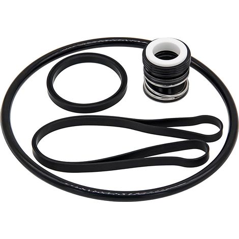 Hayward SP3000X Reparatursatz, SPX1600Z2 PS-201 Wellendichtung (1/5)