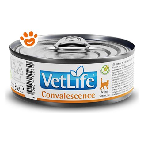 Farmina Cat Vet Life Convalescence - Farmina Cat Vet Life Convalescence - Lattina Da 85 Gr