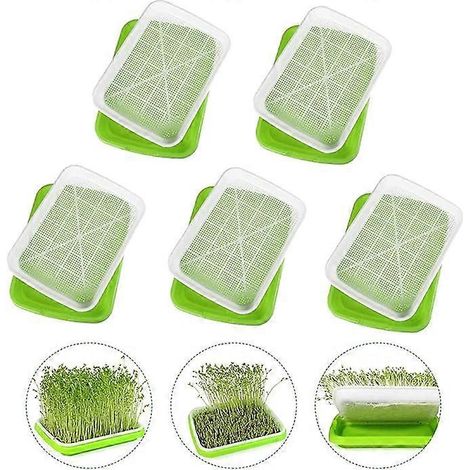 Plateau de germination en 5 pièces, plateau pour semis, plateau de propagation des graines, germoir, pour la plantation de germes de haricots et de haricots mungo (1/5)