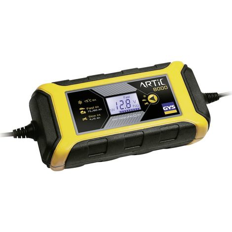 Caricabatterie ARTIC 8000 12 V 2/8 A (1/4)