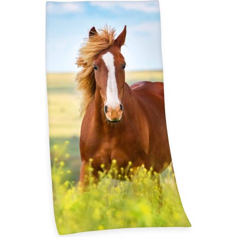 Herding 6124206516 Panno di Velluto Cavallo, Cotone, Multicolore, 150 x 75 cm (1/4)
