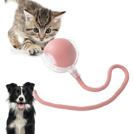 Jouets pour chats - Rose - Jouet interactif pour chats - 1 pièce - 40 cm x 6 cm - Balle électrique pour chats et chiens - Balle pour chats - Jouets pour chats (1/5)
