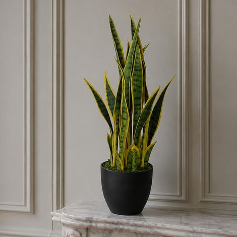 70cm Artificial Sansevieria with pot Premium (1/5)