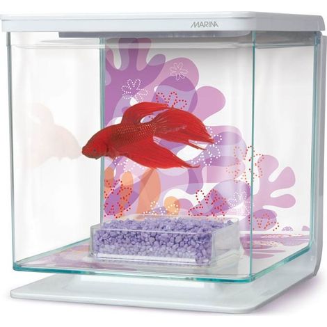 Marina Betta Kit - Blume