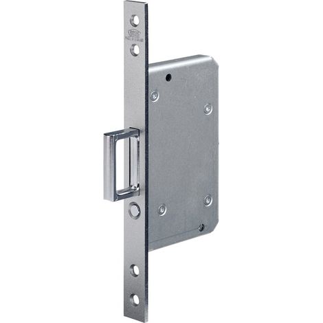 Schiebetür-Einsteckschl.0393 STA silber ktg.20/55mm m.Springg.u.Auslösek.BKS (1/4)