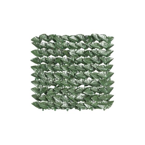Arelle Sempreverdi Lauro Botton Mt 1X3 Da Giardino Campeggio Fai Da Te 1 pz (1/5)