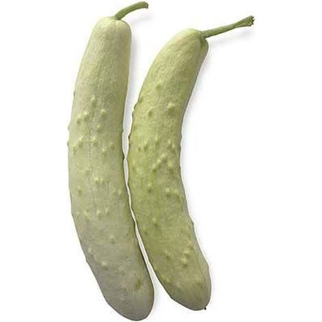 Semi di cetriolo "Mezzo lungo bianco" piante per orto e giardino
