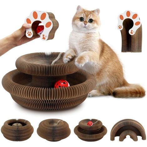 2-in-1 Katzenkratzbaum, NEUES faltbares interaktives Katzenspielzeug mit Glöckchenball, dieser Kratzbaum ist für den Innen- und Außenbereich geeignet. (1/4)