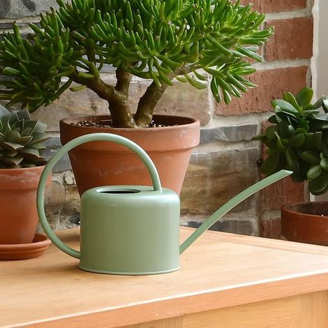 Indoor Watering Can Galvanized Steel Indoor Plants Metal Watering Can with Narrow Spout and High Handle Sage Green