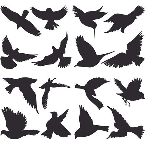 Autocollants anti-oiseaux à électricité statique pour fenêtres - Noirs - 16 pièces - Conviennent aux fenêtres et aux portes-fenêtres vitrées (1/5)