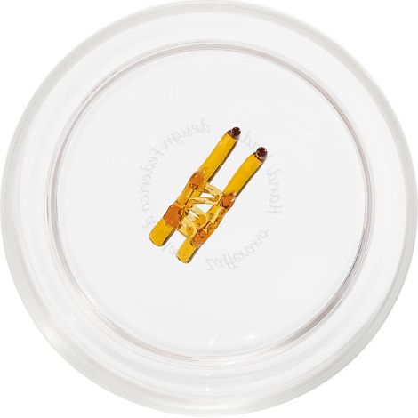 Teca Winter Game Bicchieri Tumbler in Vetro Borosilicato con Decorazione Tridimensionale Slittino Capacità 35 cl Artigianato Artistico di Design