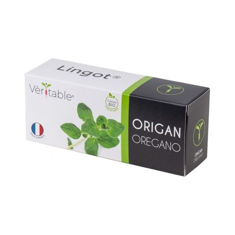 Lingot origan bio - Cartouche de graine pour potager d''intérieur - Véritable (1/3)