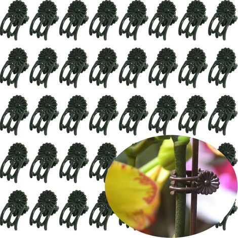 50 clip per piante, clip di supporto in plastica per orchidee, piccole clip per fiori per sostenere piante rampicanti in vaso da interno ed esterno (verde)