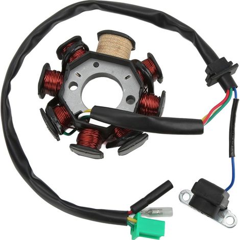 8-poliges Magnetzündsystem mit 8 Zündspulen für Roller und Quads (1/5)