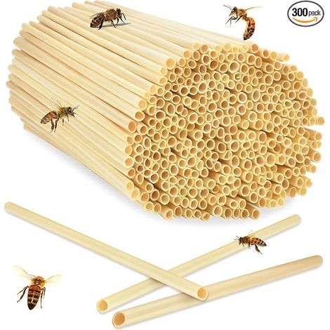Hotel a Insectes Kit Maison d'abeille 20 cm Longueur pour Hôtel à Abeilles Aide à la Nidification pour Abeilles Papillons et Autre Insecte (1/5)