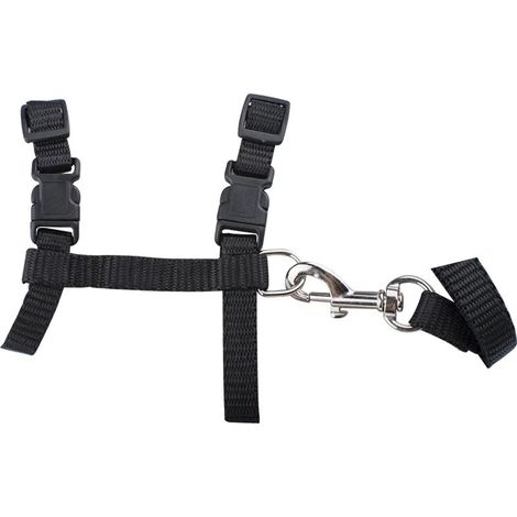 Harnais pour chat, anti-fugue, harnais souple avec laisse, harnais en nylon réglable, laisse pour chat (1/5)