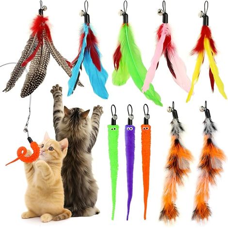 10 Pièces Jouets Baguette Chat, Accessoires de Rechange (1/5)