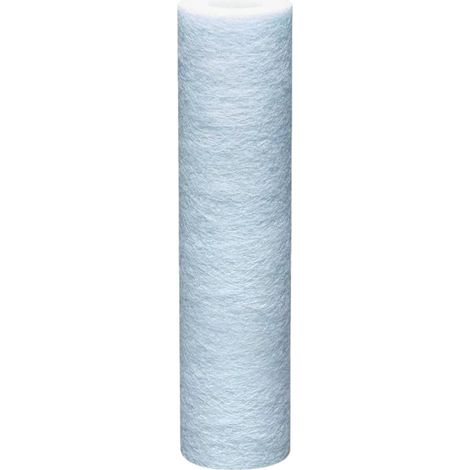 Cartouche Anti-impuretés Et Antiprolifération Bactérienne Arctic Bwt - 20µm