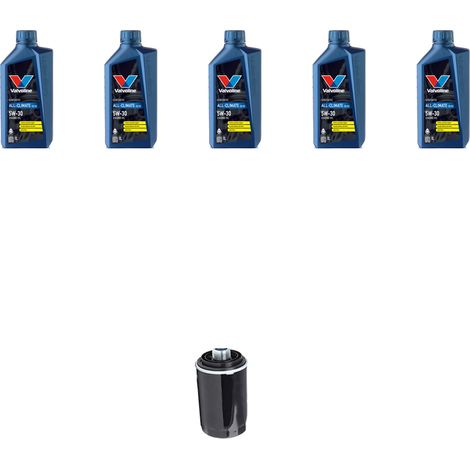 Kit filtro olio e 5L compatibile con Audi A5 (8T3,8F7,8TA) 2.0 tfsi 162kw dal 2013 (1/5)