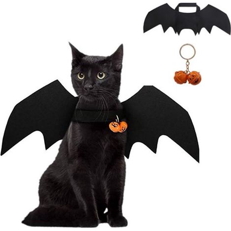 Déguisement pour chien - Déguisement d'Halloween pour chien avec clochette citrouille - Vêtements pour chien - Vêtements pour chat - Déguisement amusant pour chien - Ailes de chauve-souris pour Hallow (1/5)
