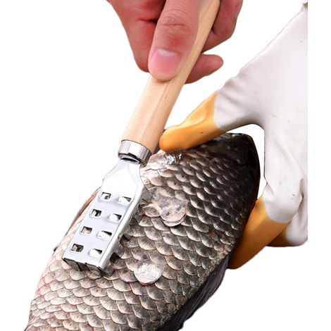 Dispositif d'élimination des écailles de poisson, grattoir d'écailles de poisson,Écailles de poisson en acier inoxydable