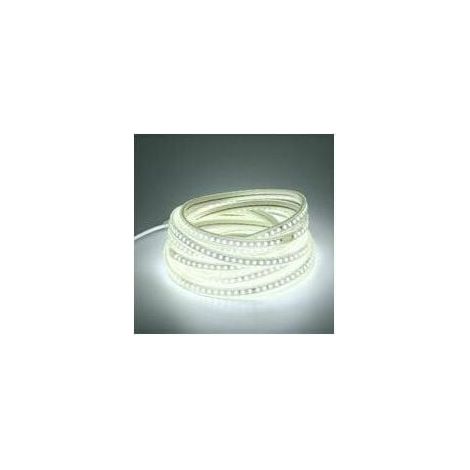 Striscia LED  5M per esterni 220V bianco freddo 5 metri Striscia LED impermeabile IP65 (bianco freddo, 5) (1/5)