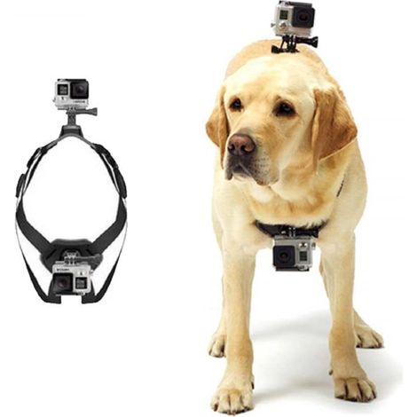 Harnais pour caméra embarquée pour chien - Fixation multi-angles pour capture vidéo sportive et loisirs (1/5)