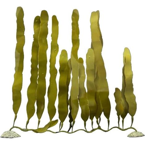 Acuario aqua-della caulerpa planta artificial 50 cm natural fácil