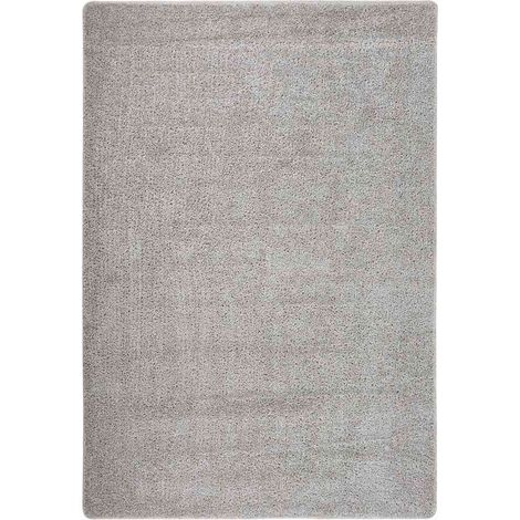 Tapis de salon Style Moderne Tapis de sol - Tapis shaggy antidérapant Gris clair 120x170 cm BV534939 - BonneVie (1/4)