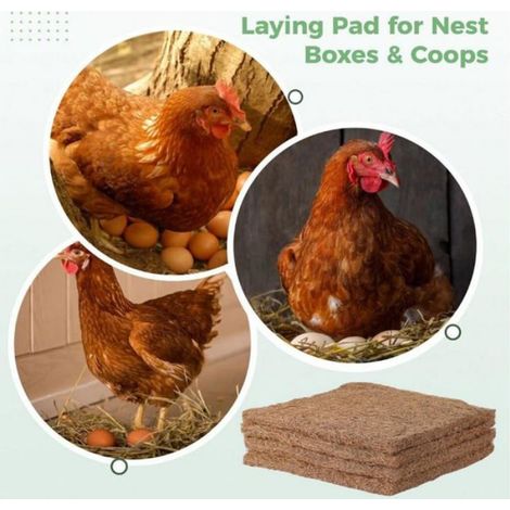 pièces - Tapis de nid de poule naturel - Tapis de ponte - Tapis pour poulailler - Tapis de nid de poule - Convient à la plupart des (1/4)