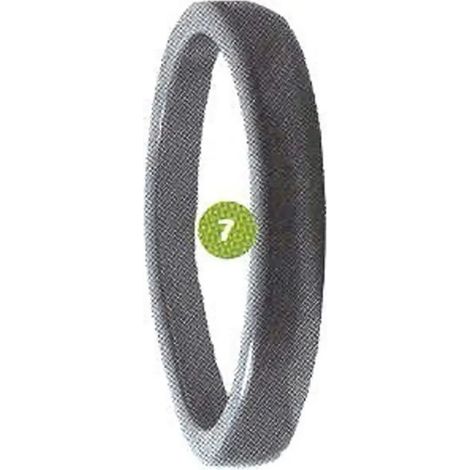 Anneau de protection antichoc pour lave-verres SPÜLBOY Neptun T 2000 - Diamètre 18 cm, vert, robuste contre bris de verre, idéal pour bars et restaurants professionnels (1/2)