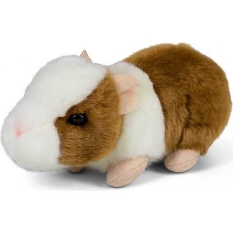 Hamster