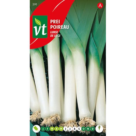 Poireau De Liège - Ca. 5 gr (Livraison Gratuite) (1/2)