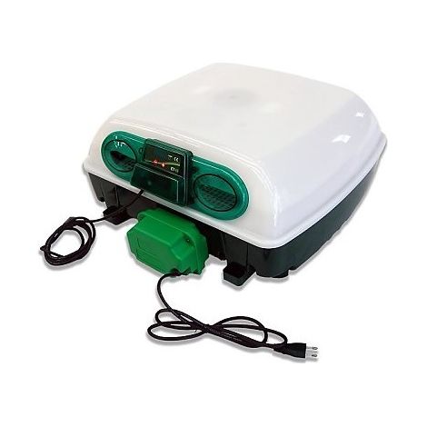 Incubatore digitale ET49 automatico