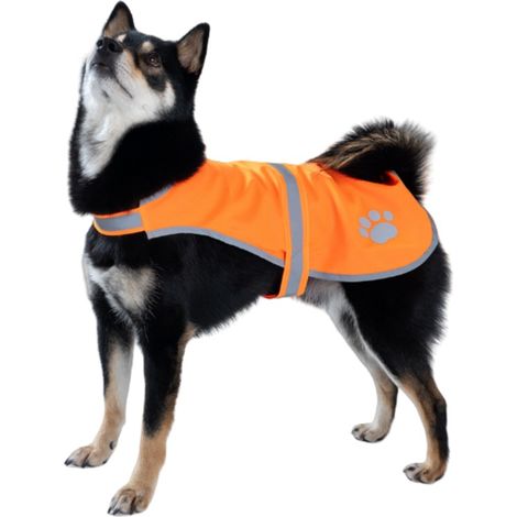 Gilet de sécurité réfléchissant pour animaux de compagnie - Gilet anti-perte haute visibilité pour chien, idéal pour les promenades nocturnes - Orange L (1/4)