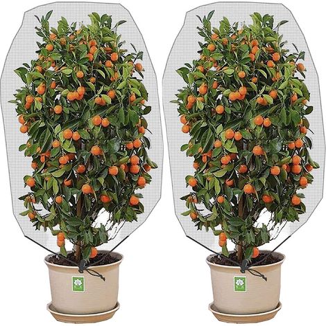 Set mit 2 Insektennetzen für den Garten (97,5 x 150 cm) zum Schutz Ihrer Pflanzen. (1/5)