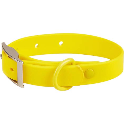 Ensemble Collier Et Laisse Pour Chien - Polyester Imperméable Avec Fermoir En Laiton - Pour Dressage Et Promenade Quotidienne - Lot De 1 (1/5)