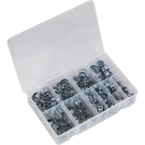 Ab042mh Mini Tuyau Clip Assortiment 100pc