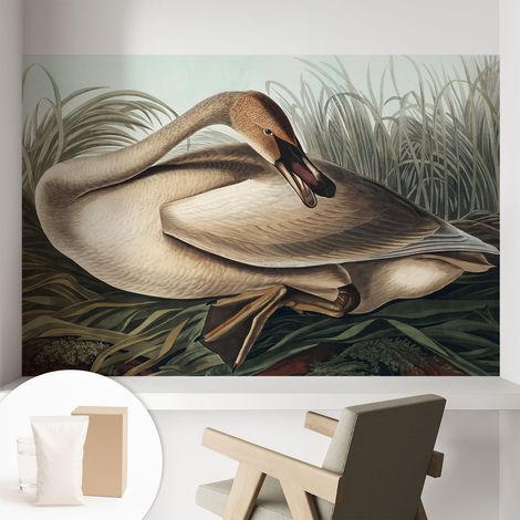 Carta Da Parati Non Tessuto - Con Colla Inclusa per Camera da Letto - Facile da Applica - Motivo decorativo Uccello naturale 104x70 cm (1/5)