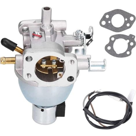 Jeu De Filtres De Carburateur Pour Moteur Briggs Stratton 16Hp Modèle Lt-166 Pièce 847395 (1/4)