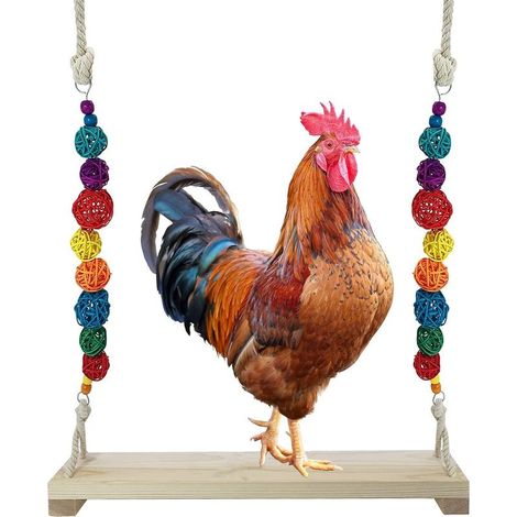 Schaukel aus Naturholz für Vögel und Hühner, Hängekäfigzubehör (1/5)