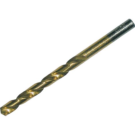D-64107 Punta da trapano per metallo HSS-TiN Economy, 6,0 x 57 / 93 mm