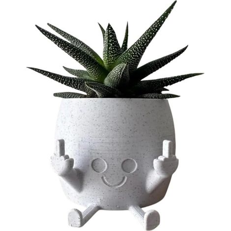 LYERCW - Pot de fleurs souriant avec majeur levé, pots de fleurs originaux et mignons pour plantes grasses, pot de fleurs créatif en forme de doigt d'honneur