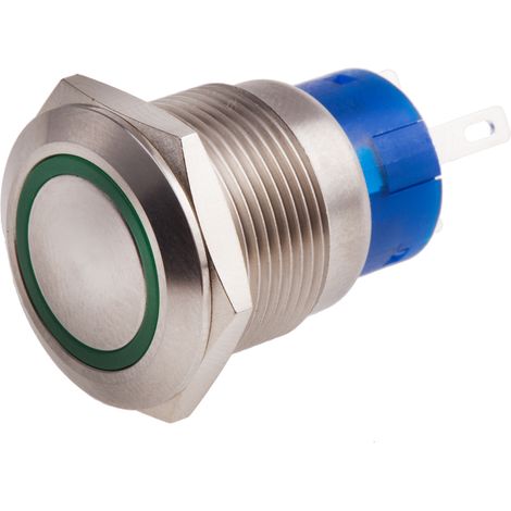 Bouton-poussoir, Momentané lumineux, LED Vert, Unipolaire à deux directions (1RT), 5 A, Argent, Montage panneau 24V ( Prix pour 1 ) (1/2)