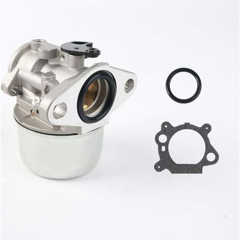 Carburateur de remplacement compatible avec Briggs et Stratton 497586 498170 799868 498254 497314 497347 698444 (1/5)