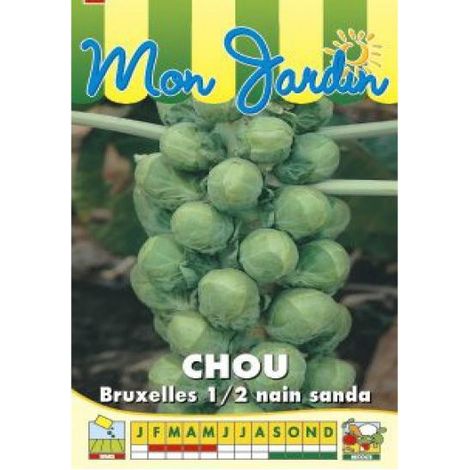 Chou de Bruxelles 'Sanda' le sachet de 800 graines (3g) (1/2)