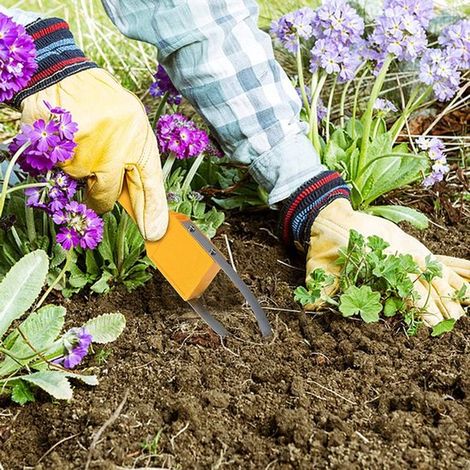 2 anelli manuali Garden Bandit per la rimozione di erbacce, l'estirpazione delle radici e il controllo di piante e infestanti (1/3)