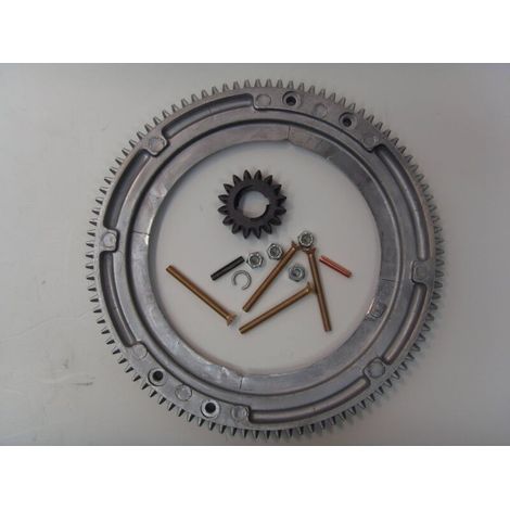 Couronne De Démarrage - Compatible Briggs Et Stratton 696537 - Pour Moteur Thermique - 1 Pièce (1/3)