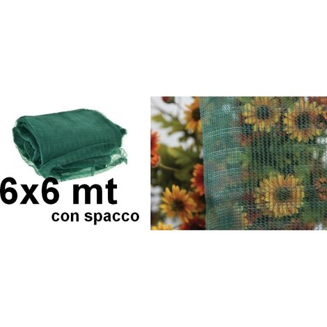 Rete raccolta olive antispine con spacco 6x6m