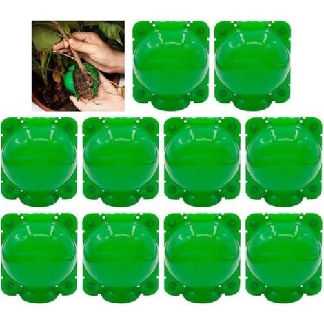 Plant Rooting Device - Plastic Propagation Ball - 10 Pieces - Green (1/4)
